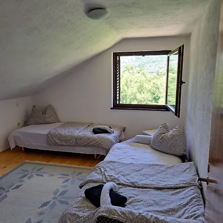 House Ceric يايتشه