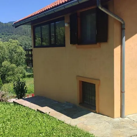 House Ceric يايتشه