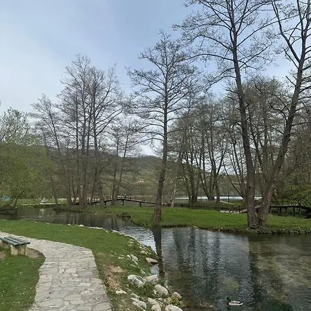 بيت للعطل House Ceric يايتشه