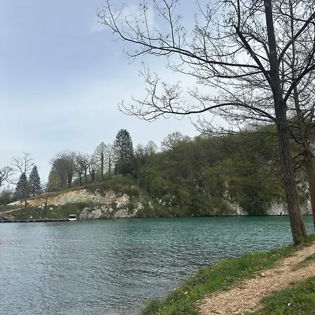 House Ceric بيت للعطل *